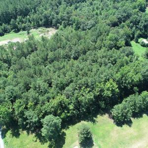Photo #15 of Off Loco School Road, Stony Creek, VA 3.1 acres