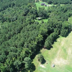 Photo #2 of Off Loco School Road, Stony Creek, VA 3.1 acres