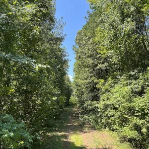 Photo #19 of Off Loco School Road, Stony Creek, VA 3.1 acres