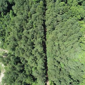 Photo #3 of Off Loco School Road, Stony Creek, VA 3.1 acres