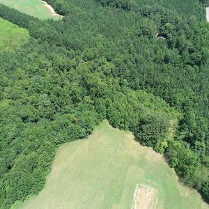 Photo #8 of SOLD property in Off Boydton Plank Road, Warfield, VA 13.7 acres