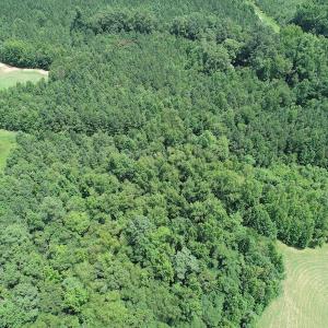 Photo #9 of SOLD property in Off Boydton Plank Road, Warfield, VA 13.7 acres