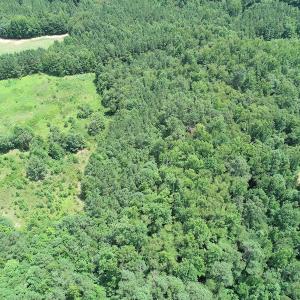 Photo #10 of SOLD property in Off Boydton Plank Road, Warfield, VA 13.7 acres