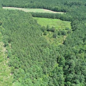 Photo #11 of SOLD property in Off Boydton Plank Road, Warfield, VA 13.7 acres