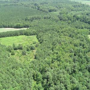 Photo #12 of SOLD property in Off Boydton Plank Road, Warfield, VA 13.7 acres
