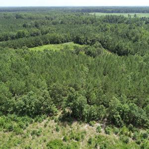 Photo #13 of SOLD property in Off Boydton Plank Road, Warfield, VA 13.7 acres