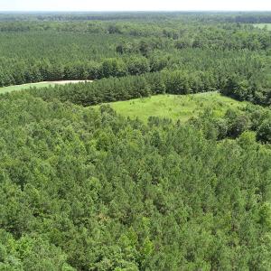 Photo #14 of SOLD property in Off Boydton Plank Road, Warfield, VA 13.7 acres