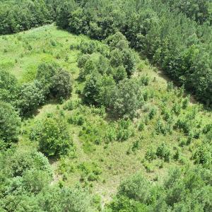 Photo #15 of SOLD property in Off Boydton Plank Road, Warfield, VA 13.7 acres