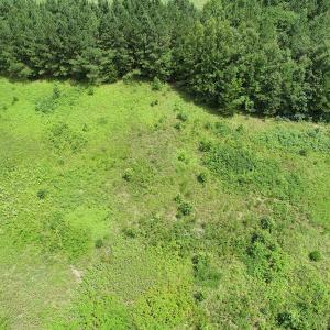 Photo #17 of SOLD property in Off Boydton Plank Road, Warfield, VA 13.7 acres
