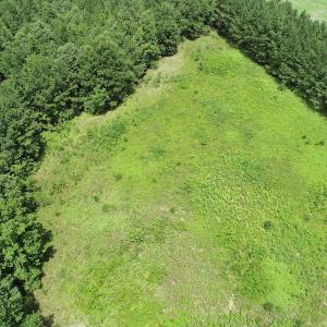 Photo #18 of SOLD property in Off Boydton Plank Road, Warfield, VA 13.7 acres