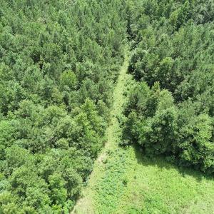 Photo #19 of SOLD property in Off Boydton Plank Road, Warfield, VA 13.7 acres