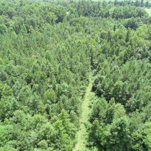 Photo #20 of SOLD property in Off Boydton Plank Road, Warfield, VA 13.7 acres