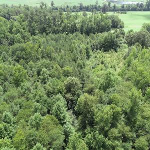 Photo #21 of SOLD property in Off Boydton Plank Road, Warfield, VA 13.7 acres