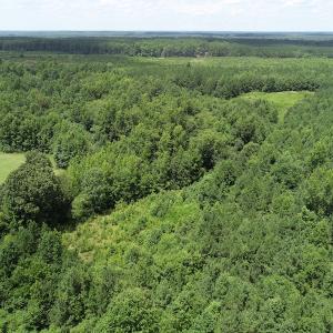 Photo #22 of SOLD property in Off Boydton Plank Road, Warfield, VA 13.7 acres