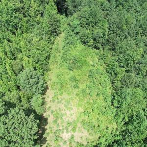 Photo #23 of SOLD property in Off Boydton Plank Road, Warfield, VA 13.7 acres