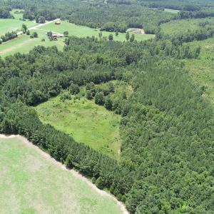 Photo #2 of SOLD property in Off Boydton Plank Road, Warfield, VA 13.7 acres