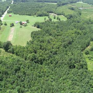 Photo #3 of SOLD property in Off Boydton Plank Road, Warfield, VA 13.7 acres