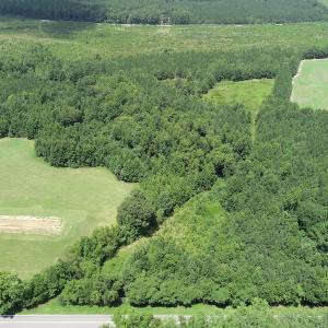 Photo #4 of SOLD property in Off Boydton Plank Road, Warfield, VA 13.7 acres
