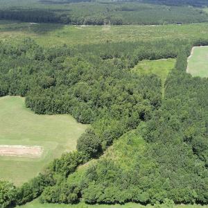 Photo #5 of SOLD property in Off Boydton Plank Road, Warfield, VA 13.7 acres