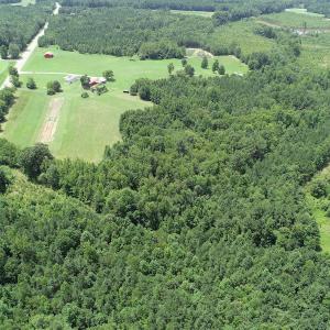 Photo #6 of SOLD property in Off Boydton Plank Road, Warfield, VA 13.7 acres