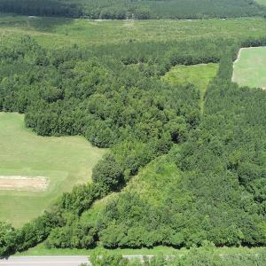 Photo #7 of SOLD property in Off Boydton Plank Road, Warfield, VA 13.7 acres