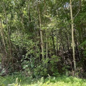 Photo #31 of Off Loco School Road, Stony Creek, VA 7.5 acres
