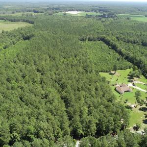 Photo #2 of Off Loco School Road, Stony Creek, VA 7.5 acres