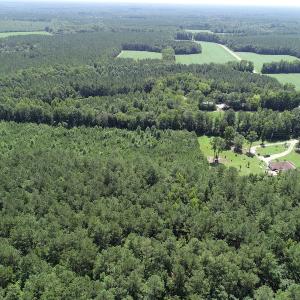 Photo #4 of Off Loco School Road, Stony Creek, VA 7.5 acres