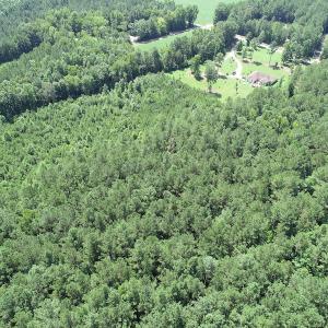 Photo #5 of Off Loco School Road, Stony Creek, VA 7.5 acres