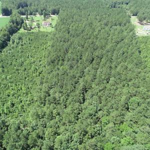 Photo #7 of Off Loco School Road, Stony Creek, VA 7.5 acres