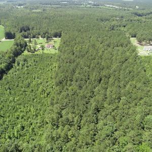 Photo #8 of Off Loco School Road, Stony Creek, VA 7.5 acres