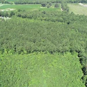Photo #9 of Off Loco School Road, Stony Creek, VA 7.5 acres