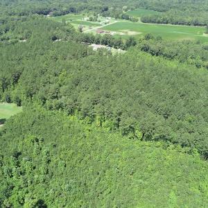 Photo #10 of Off Loco School Road, Stony Creek, VA 7.5 acres