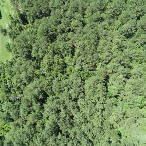 Photo #16 of Off Loco School Road, Stony Creek, VA 7.5 acres