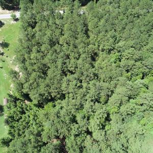 Photo #17 of Off Loco School Road, Stony Creek, VA 7.5 acres