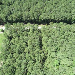 Photo #18 of Off Loco School Road, Stony Creek, VA 7.5 acres