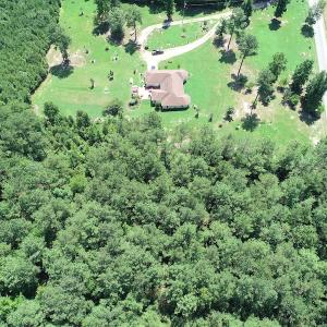 Photo #19 of Off Loco School Road, Stony Creek, VA 7.5 acres