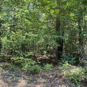 Photo #26 of Off Loco School Road, Stony Creek, VA 7.5 acres