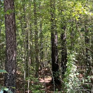 Photo #27 of Off Loco School Road, Stony Creek, VA 7.5 acres