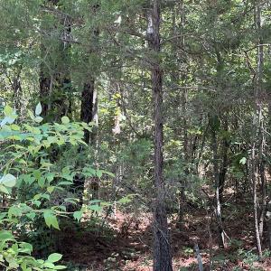 Photo #29 of Off Loco School Road, Stony Creek, VA 7.5 acres