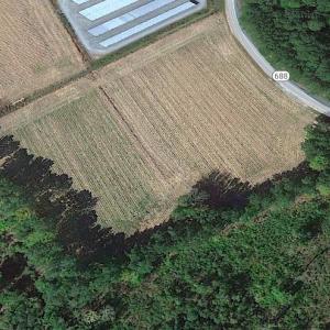 Photo #16 of SOLD property in Off Newmarket Road, Courtland, VA 6.0 acres