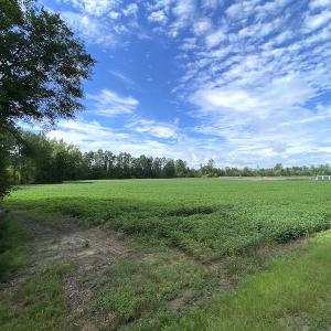 Photo #2 of SOLD property in Off Newmarket Road, Courtland, VA 6.0 acres