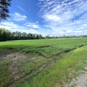 Photo #4 of SOLD property in Off Newmarket Road, Courtland, VA 6.0 acres