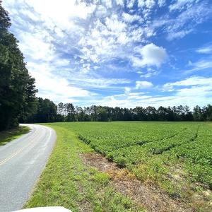 Photo #6 of SOLD property in Off Newmarket Road, Courtland, VA 6.0 acres