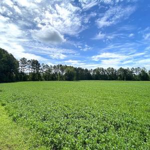 Photo #8 of SOLD property in Off Newmarket Road, Courtland, VA 6.0 acres