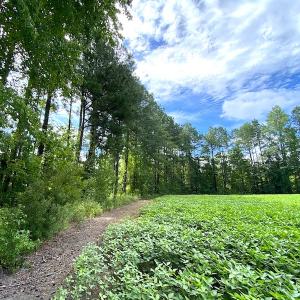 Photo #12 of SOLD property in Off Newmarket Road, Courtland, VA 6.0 acres