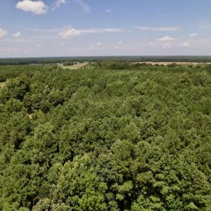Photo #13 of SOLD property in Off Dover Fort Barnwell Road, Dover, NC 7.5 acres