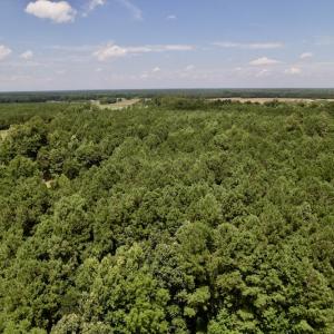 Photo #13 of SOLD property in Off Dover Fort Barnwell Road, Dover, NC 7.5 acres