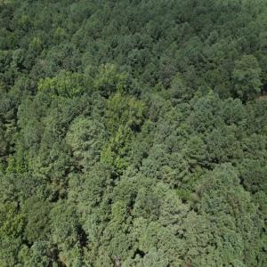 Photo #16 of SOLD property in Off Dover Fort Barnwell Road, Dover, NC 7.5 acres