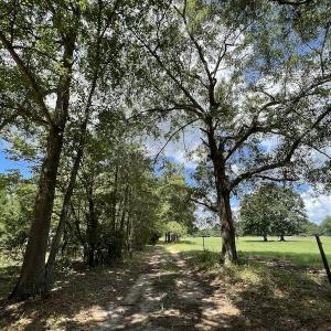 Photo #12 of SOLD property in Off Highway 42, Tarboro, NC 43.3 acres